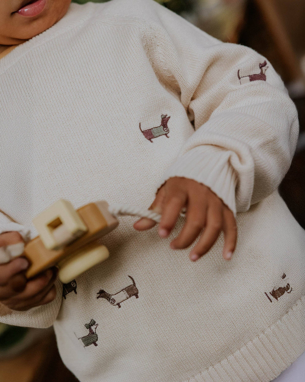 Person wearing a cream-colored sweater with embroidered dog designs, holding a wooden toy.