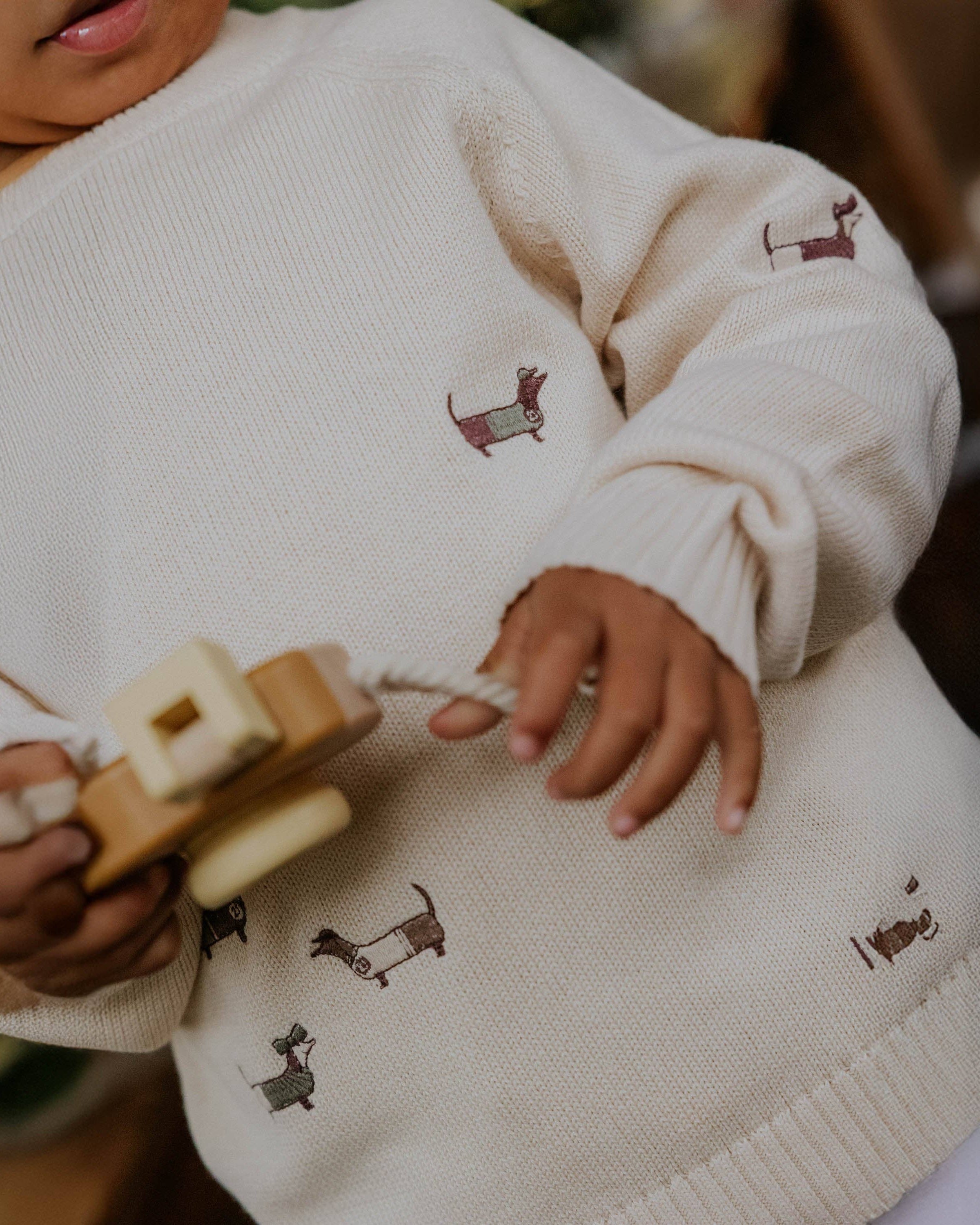 Person wearing a cream-colored sweater with embroidered dog designs, holding a wooden toy.