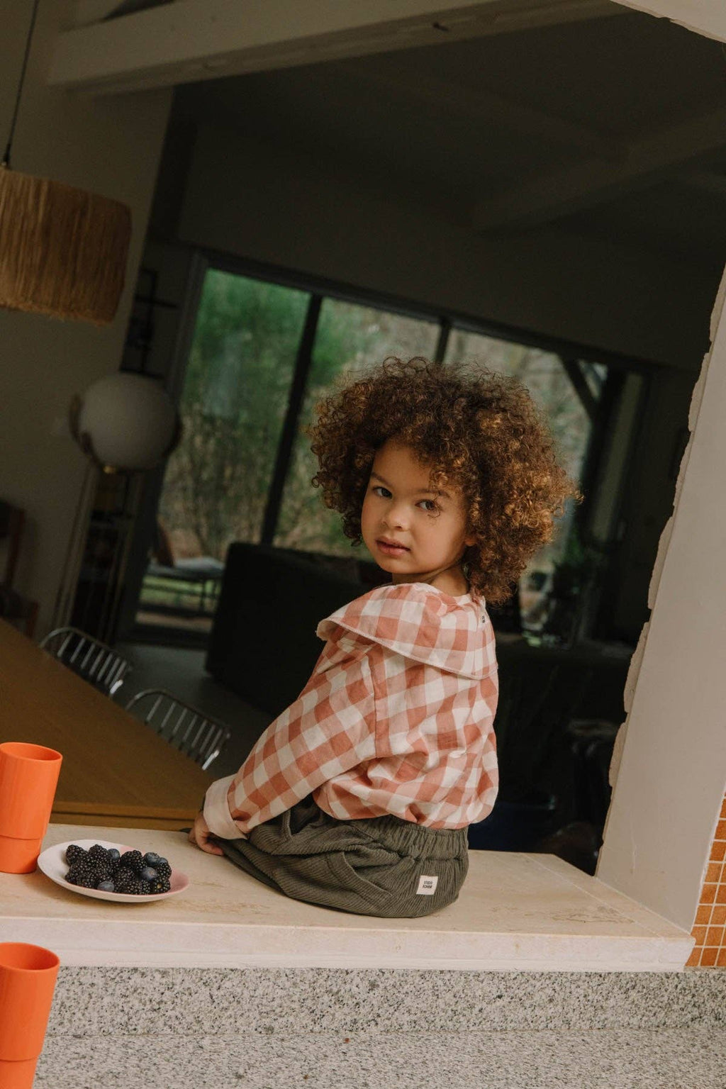 Child sitting at a table with a plate of berries, wearing a plaid shirt and green pants.