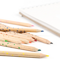 Colorful pencils on a white background