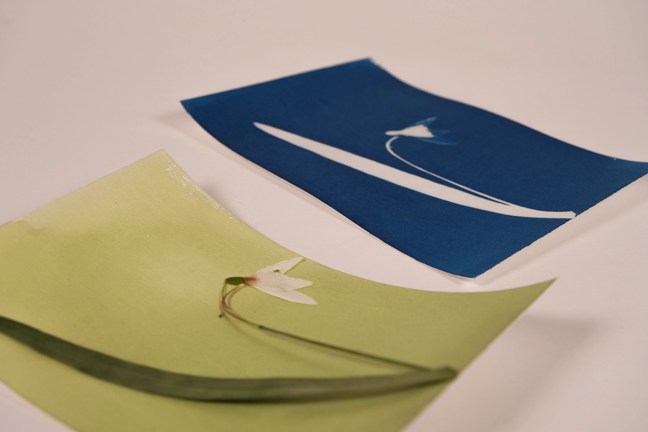 Cyanotype Mini Kit