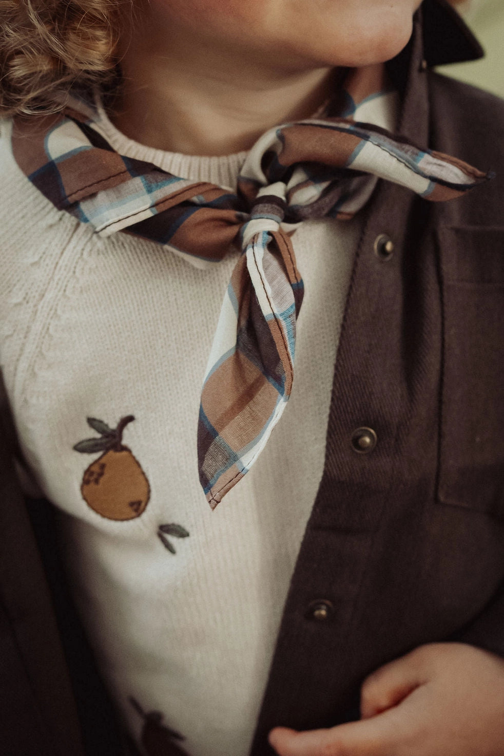 Person wearing a sweater with a pear design and a plaid scarf, close-up of neck and shoulders.