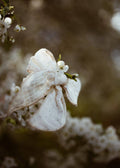 A close-up photograph of a white dogwood blossom in full bloom, with soft-focus white flowers and a warm brown bokeh background.
