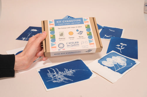Mini Kit de Cianotipia