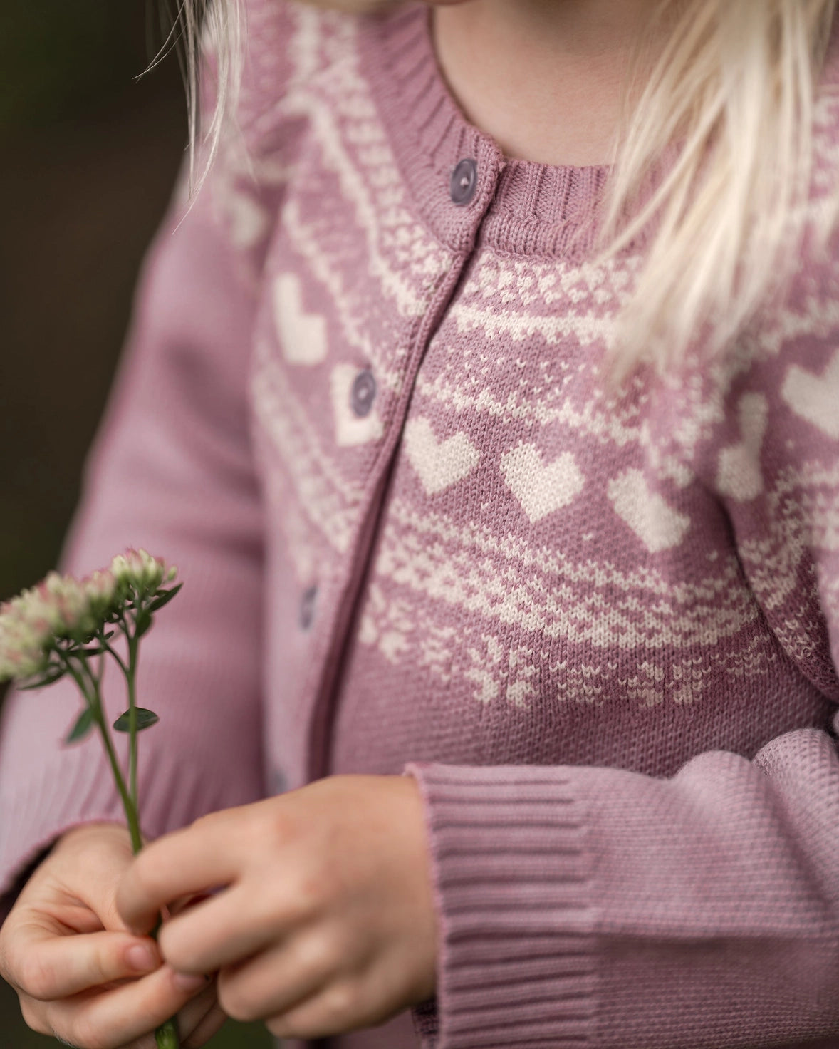 A close-up of a child wearing a dusty mauve knit cardigan with cream Fair Isle heart and geometric patterns, holding a small white flower.